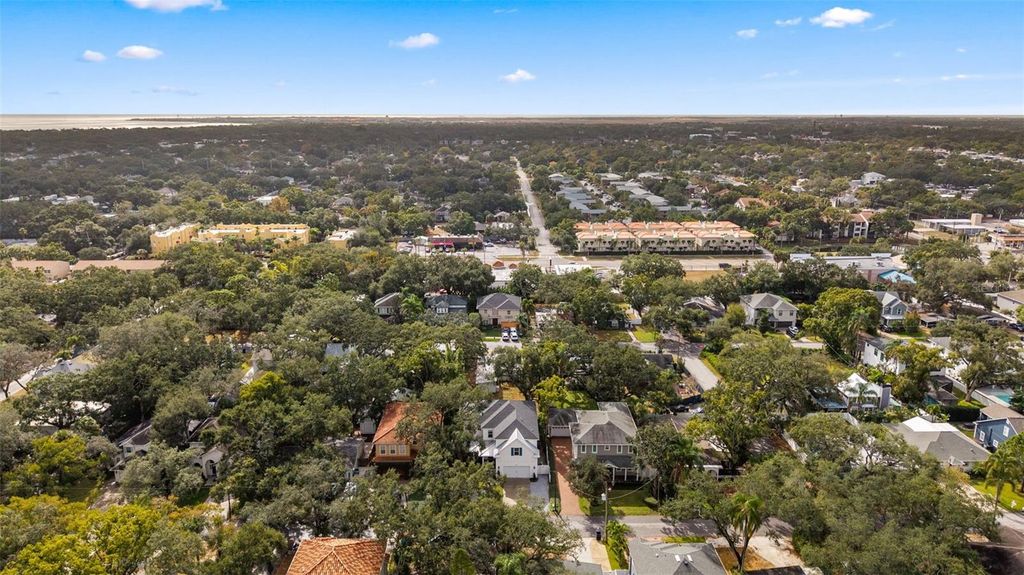 Image 49 of property listing at 3314 W VILLA ROSA STREET, Tampa, FL 33611