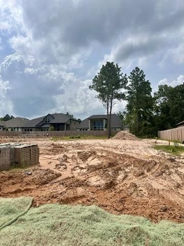 41758 Wendele Way, Todd Mission, TX 77316