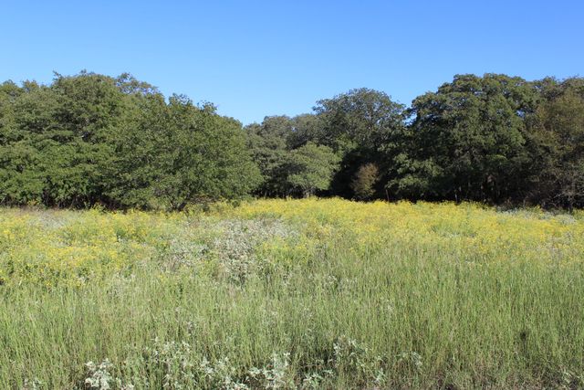 Lot 2 TBD County Road 2798, Alvord, TX 76225