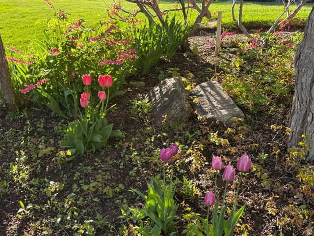 7980 S 2800 E, South Weber, UT 84405