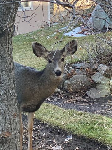 7980 S 2800 E, South Weber, UT 84405