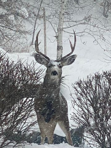 7980 S 2800 E, South Weber, UT 84405