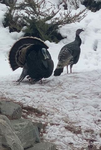 7980 S 2800 E, South Weber, UT 84405