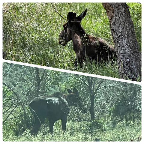 7980 S 2800 E, South Weber, UT 84405