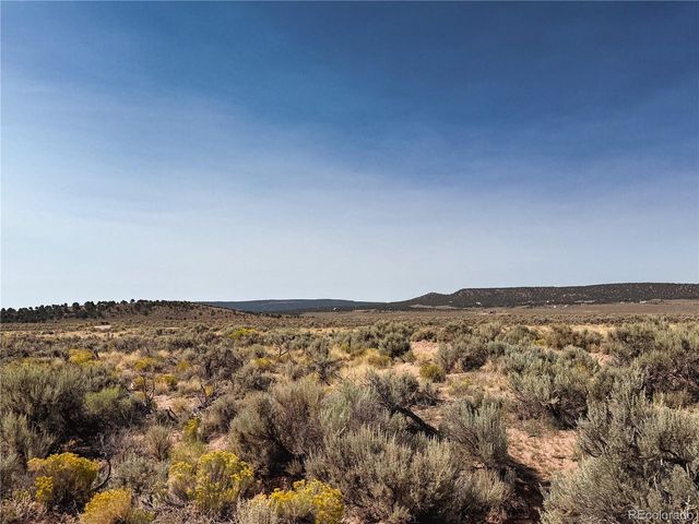 0 Slaughter Rd, Fort Garland, CO 81133