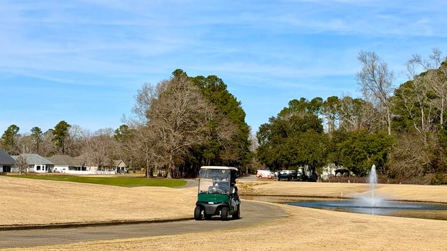 172 Board Landing Circle, Conway, SC 29526