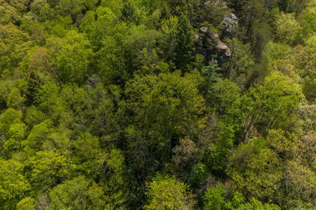 100 Cr-1129, Stanton, KY 40380