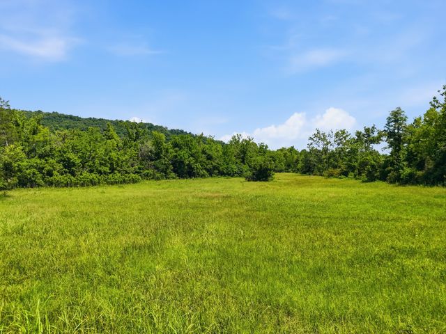 813 Ward Rd, Decatur, TN 37322