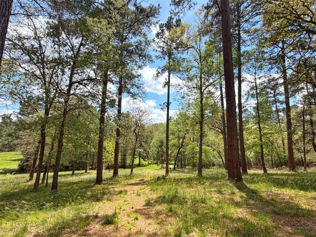 1878 Cr 131, Centerville, TX 75833