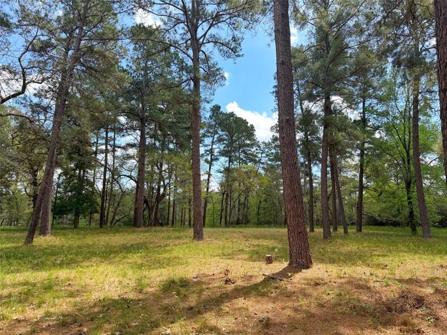 1878 Cr 131, Centerville, TX 75833