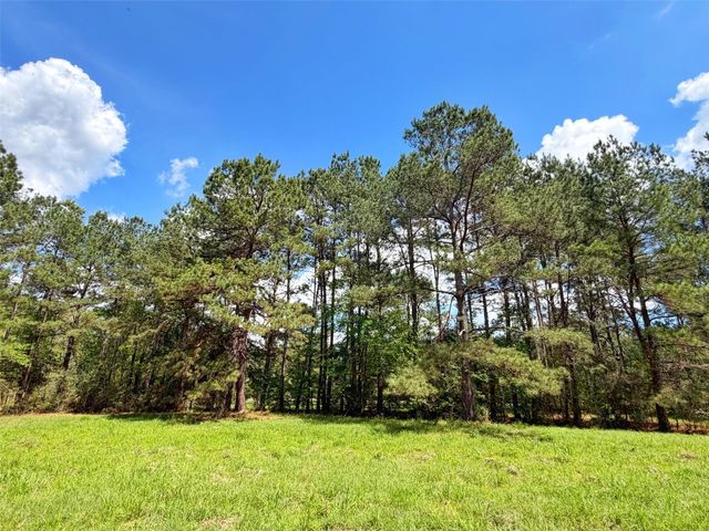 1878 Cr 131, Centerville, TX 75833