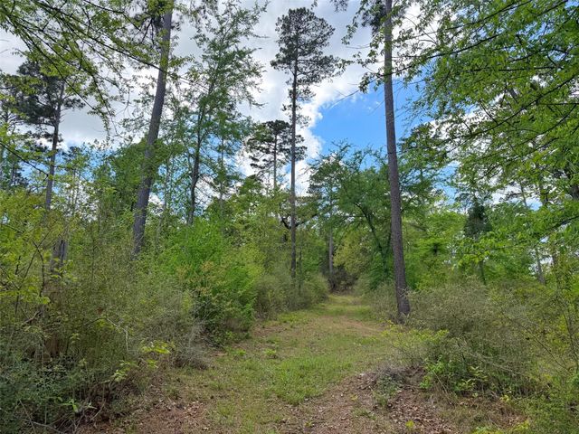 1878 Cr 131, Centerville, TX 75833