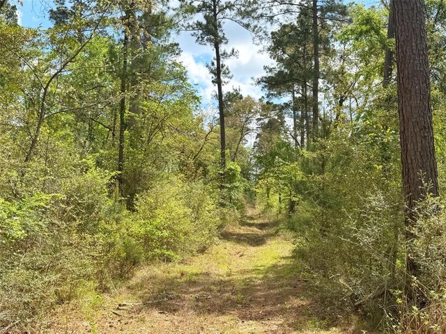 1878 Cr 131, Centerville, TX 75833