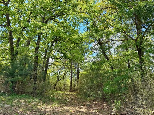 1878 Cr 131, Centerville, TX 75833