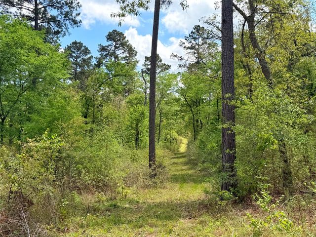 1878 Cr 131, Centerville, TX 75833