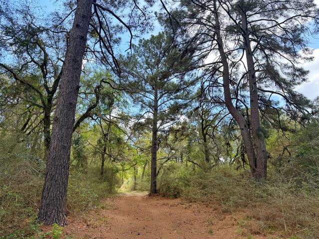 1878 Cr 131, Centerville, TX 75833