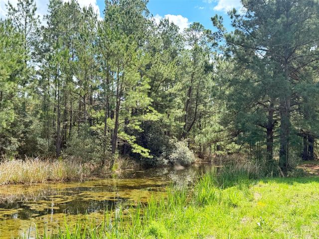 1878 Cr 131, Centerville, TX 75833