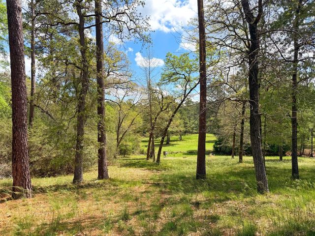 1878 Cr 131, Centerville, TX 75833