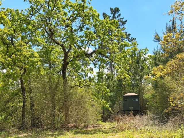 1878 Cr 131, Centerville, TX 75833