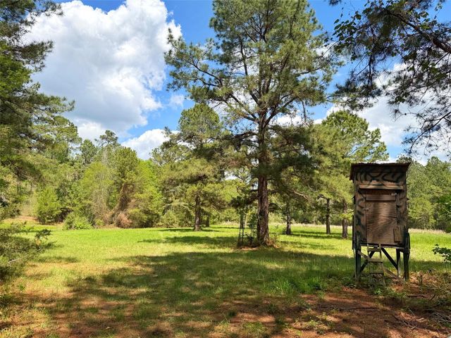 1878 Cr 131, Centerville, TX 75833