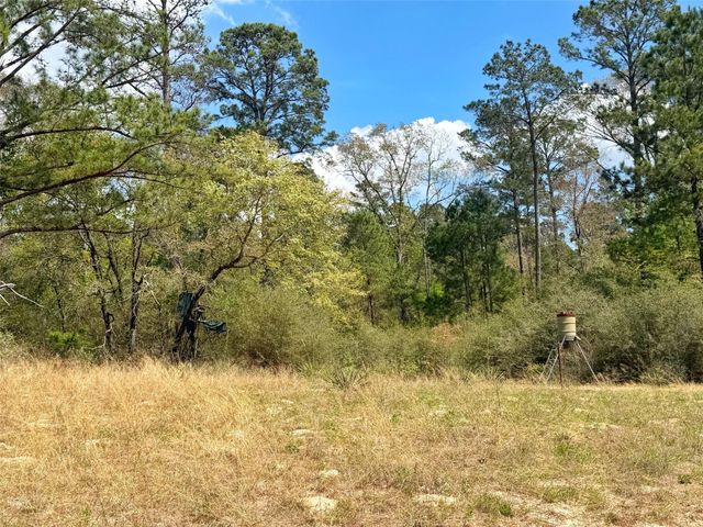 1878 Cr 131, Centerville, TX 75833