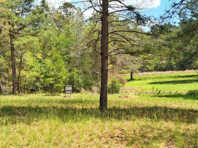 1878 Cr 131, Centerville, TX 75833