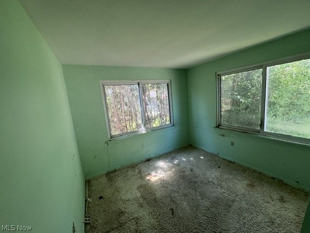 19205 Arrowhead Avenue, Cleveland, OH 44119