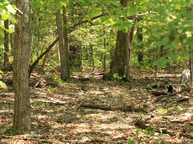 1303 Red Bird Lane, Horseshoe Bend, AR 72512