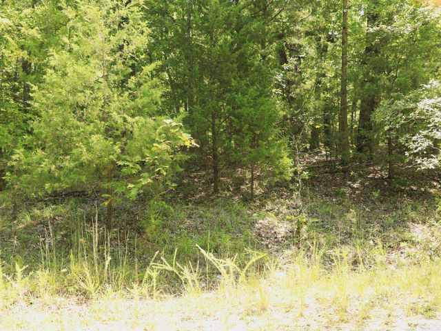 1303 Red Bird Lane, Horseshoe Bend, AR 72512
