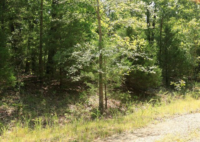 1303 Red Bird Lane, Horseshoe Bend, AR 72512