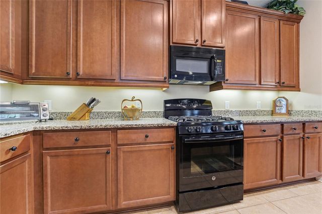 19511 LILY POND COURT, Brooksville, FL 34601