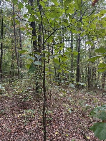3834 Salacoa-Tract B, Waleska, GA 30183