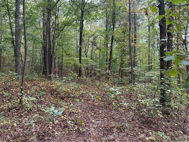 3834 Salacoa-Tract B, Waleska, GA 30183