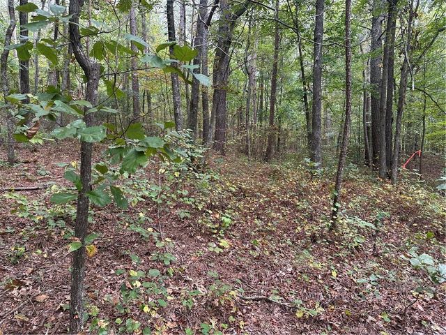 3834 Salacoa-Tract B, Waleska, GA 30183