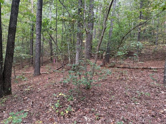 3834 Salacoa-Tract B, Waleska, GA 30183
