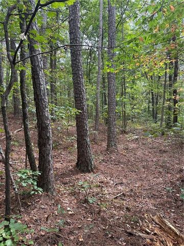 3834 Salacoa-Tract B, Waleska, GA 30183