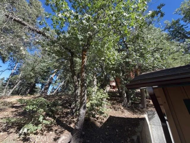 33519 Falling Leaf Drive, Green Valley Lake, CA 92341