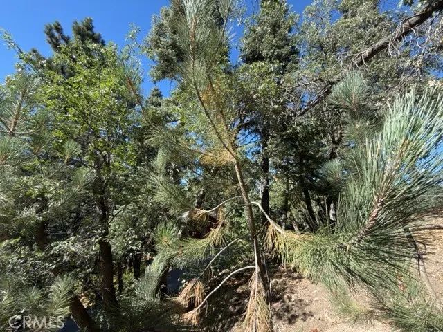 33519 Falling Leaf Drive, Green Valley Lake, CA 92341