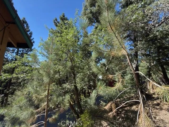 33519 Falling Leaf Drive, Green Valley Lake, CA 92341