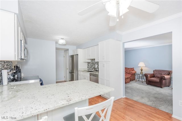 5551 Ivy Court, Willoughby, OH 44094