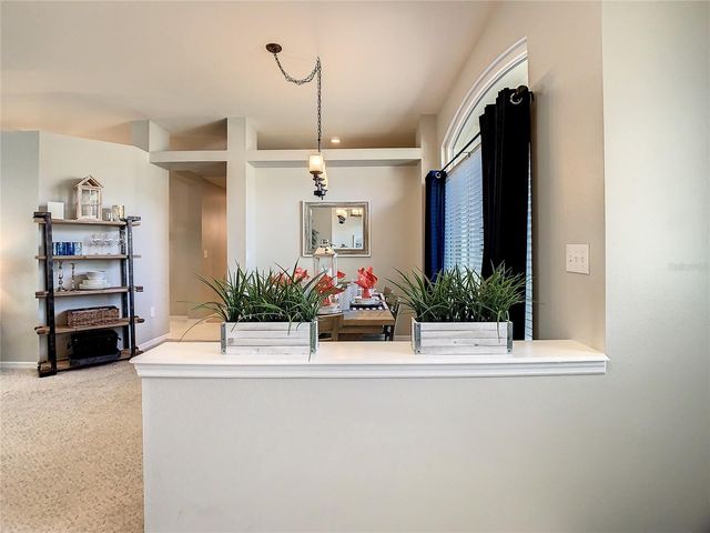 1521 CROOKED STICK DRIVE, Valrico, FL 33596