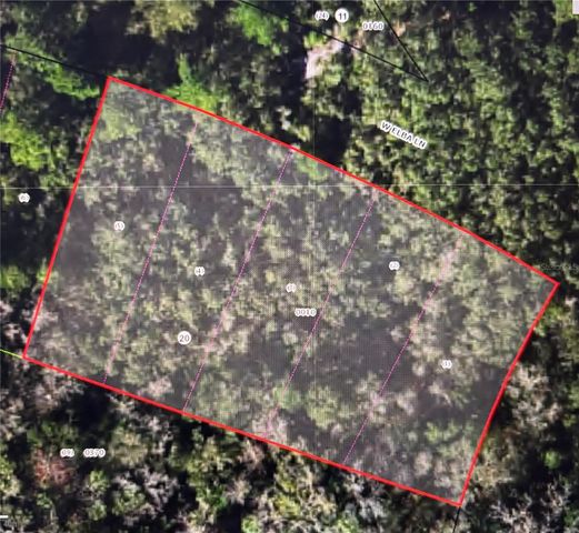 8748 W ELBA PLACE, Homosassa, FL 34448