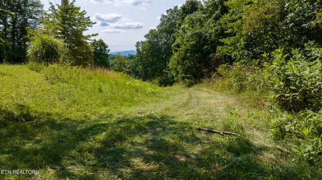 687 Big Springs Rd, Eidson, TN 37731