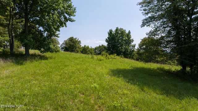 687 Big Springs Rd, Eidson, TN 37731