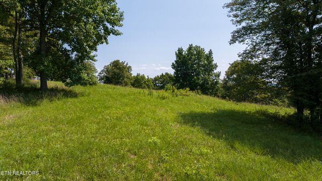687 Big Springs Rd, Eidson, TN 37731