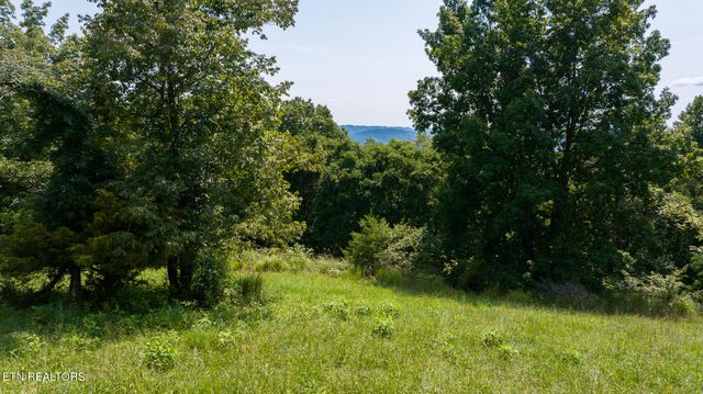 687 Big Springs Rd, Eidson, TN 37731