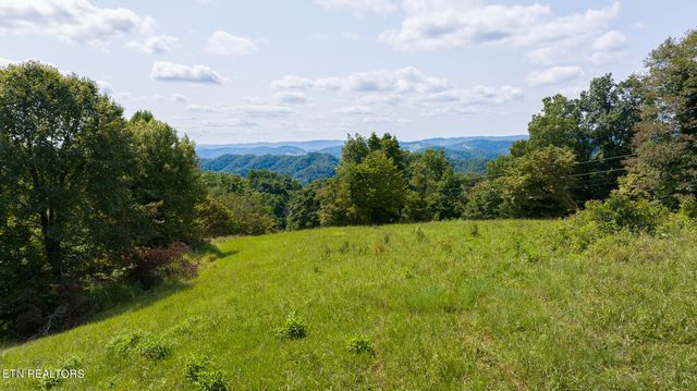 687 Big Springs Rd, Eidson, TN 37731
