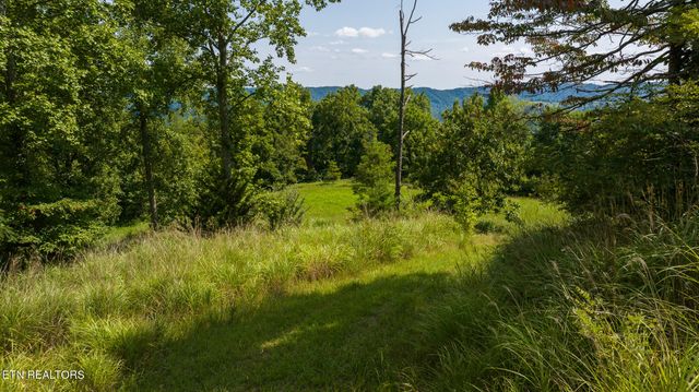 687 Big Springs Rd, Eidson, TN 37731
