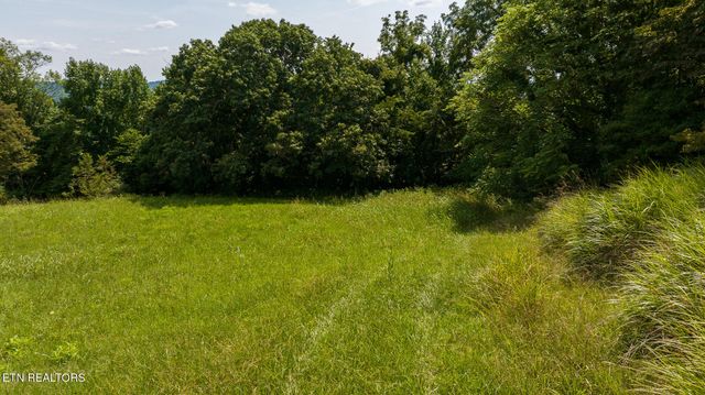 687 Big Springs Rd, Eidson, TN 37731