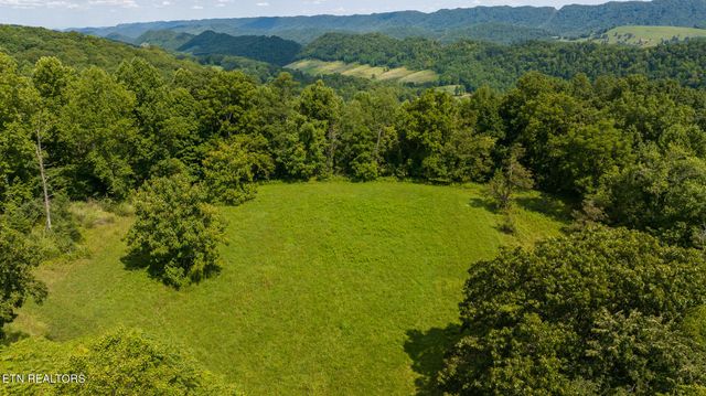 687 Big Springs Rd, Eidson, TN 37731